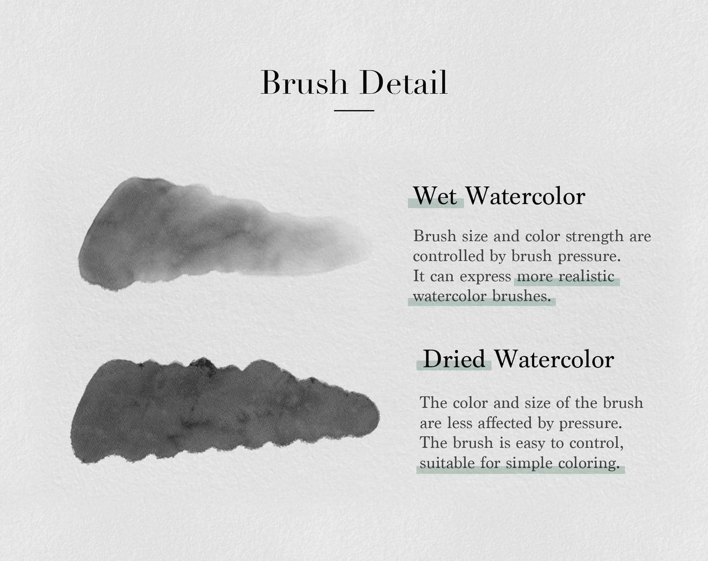 Leessuu Watercolor Brush Edition for Procreate